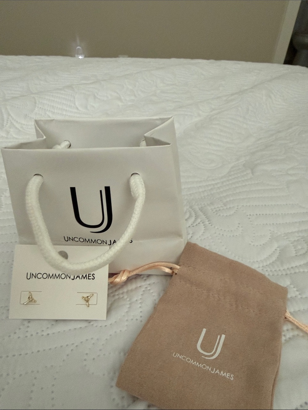 Uncommon James Beige Suede Drawstring Jewelry Pouch with Branded Bag